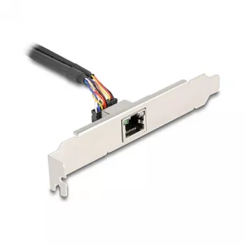 DeLOCK 95268 Internal RJ-45 Adapter Mini PCI Express 2.5 Gbit/s
