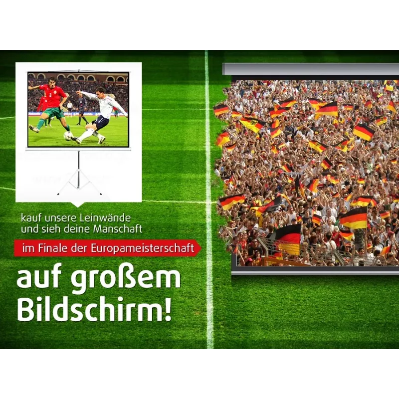 Projection screen MACLEAN MC-592 wall/ceiling mounting 200 x 150 cm 4:3