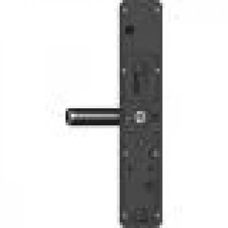 Smart fingerprint door lock EZVIZ DL05