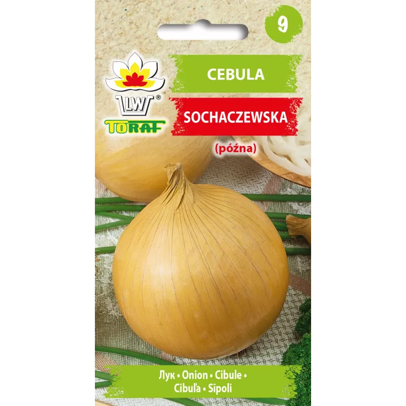 Sochaczew Onion Toraf Vegetable Seeds, 5g Pack