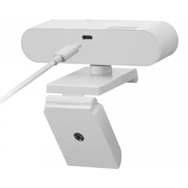 Lenovo GXC1D66063 webcam 2.8 MP 1920 x 1080 pixels USB-C Grey