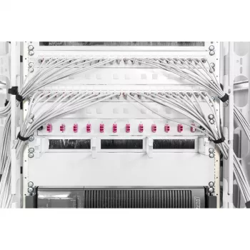 Filler panel Digitus DN-19 BPN-02