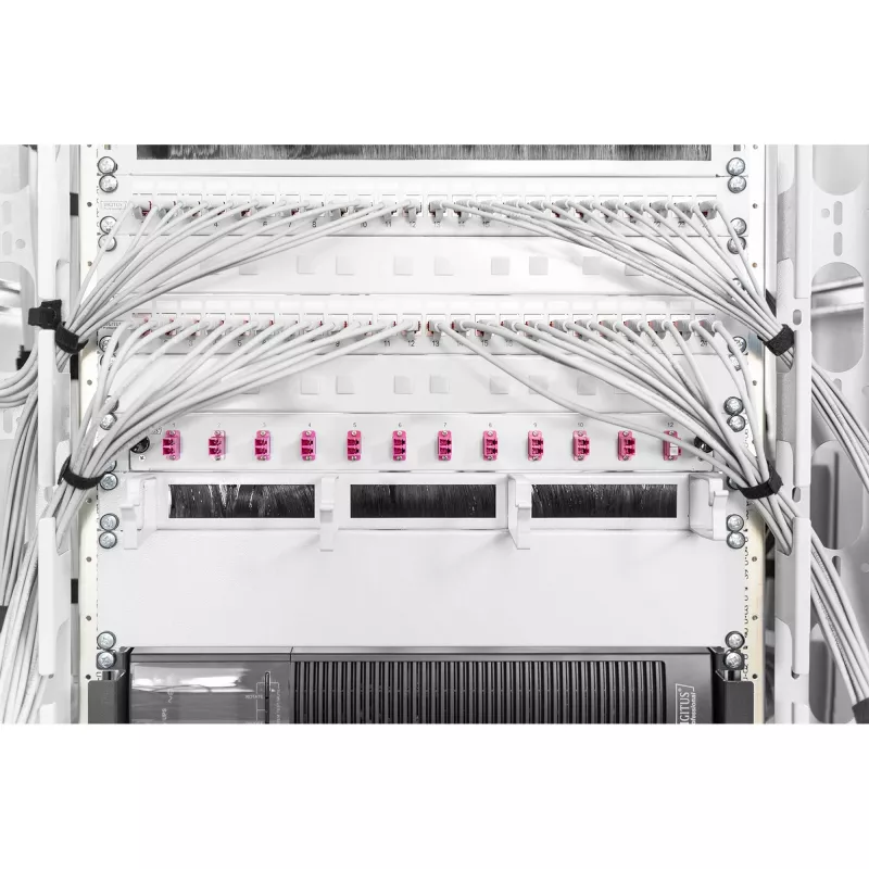 Filler panel Digitus DN-19 BPN-02