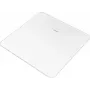 GS 225 Glass Scale (75733)