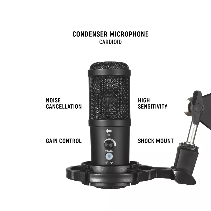Studio microphone Easypix 62021 Black
