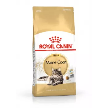 Dry cat food Royal Canin Maine Coon Adult 4 kg — chicken, 31% protein, 20% fat
