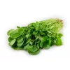 Watercress Toraf Vegetable Seeds, 0.2g Package