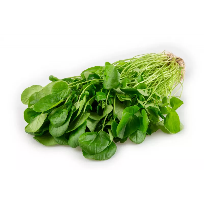 Watercress Toraf Vegetable Seeds, 0.2g Package