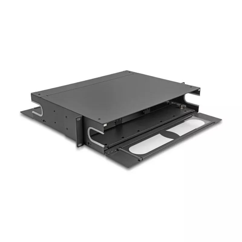 Patch panel DeLOCK 66752 19 inch 24 ports