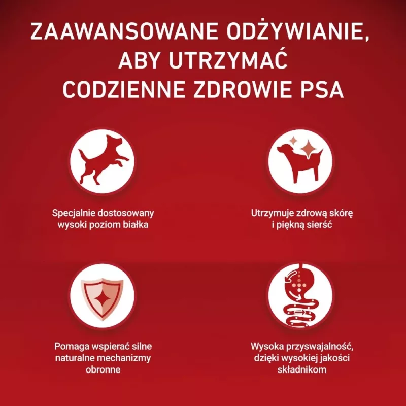 PURINA ONE MINI Dog Adult Beef & Rice 1,5kg