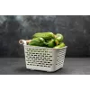 Soplica F1 Toraf Cucumber Seeds, 5g Vegetable Seed Package