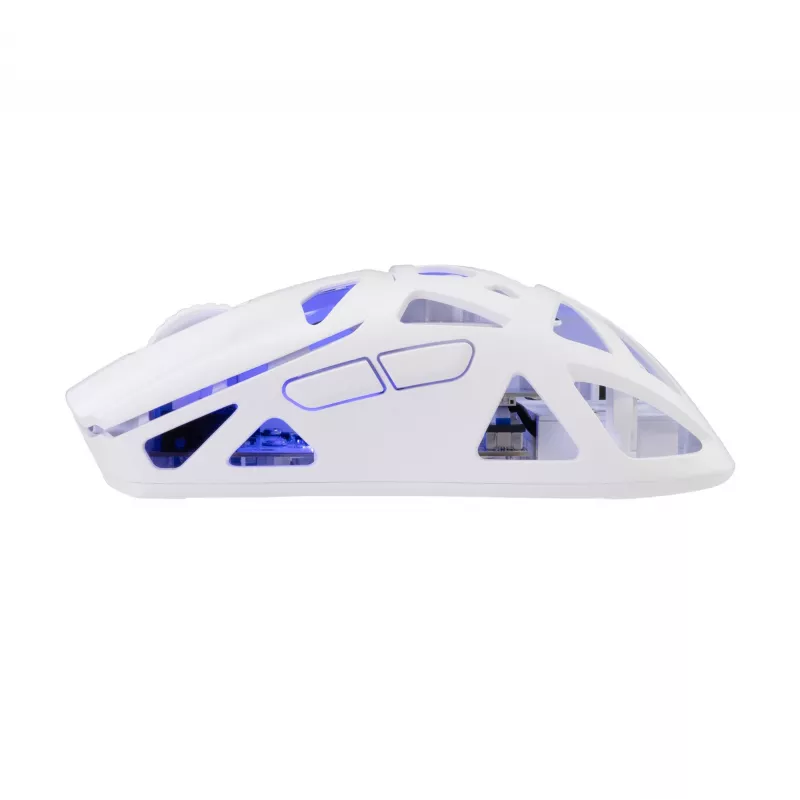 Mouse White Shark GM-5019 Dagonet Wireless