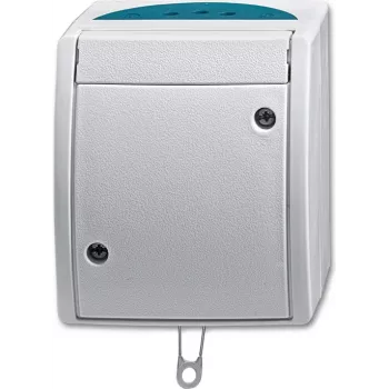 BUSCH JAEGER 2CKA001383A0141 - Zugkettenschalter - Silver - IP44 - RoHS CE - 250 V - 74 mm