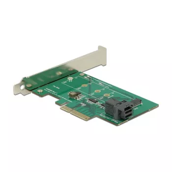 Internal M.2 Adapter DeLOCK 89517