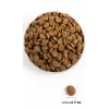 ACANA Adult Large Breed - dry dog food - 11,4kg