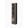 Cama living room cabinet set VIGO 3 black/wotan oak