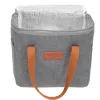 Thermal bag Adler AD 4523, 10 L capacity, soft insulated cooler bag for food and drinks