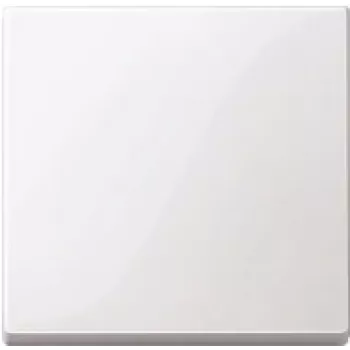Wall plate / switch cover Merten 432125, white, thermoplastic