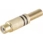 RCA Connector ShiverPeaks BS52021-S Gold Female