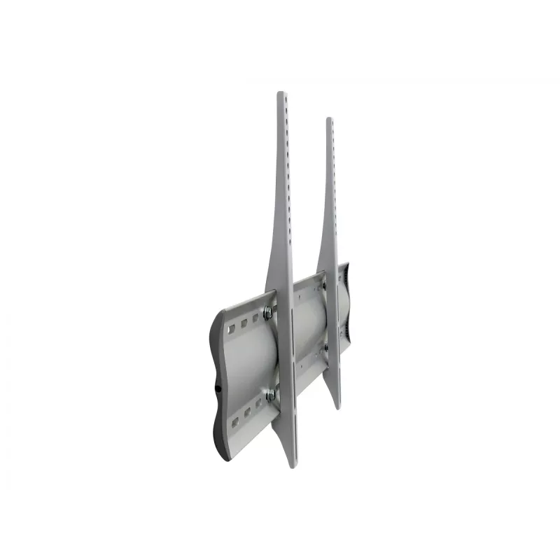 Ergotron 60-604-003 Silver