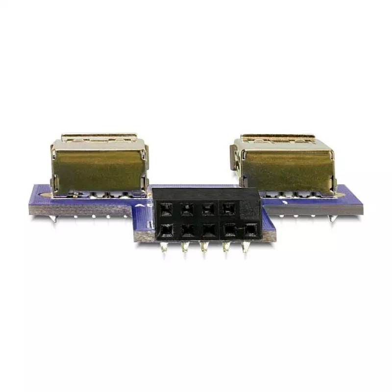 DeLOCK 9-pin 2.54 mm 2 x USB 2.0 1 x 9-pin 2.54 mm Black Blue Silver