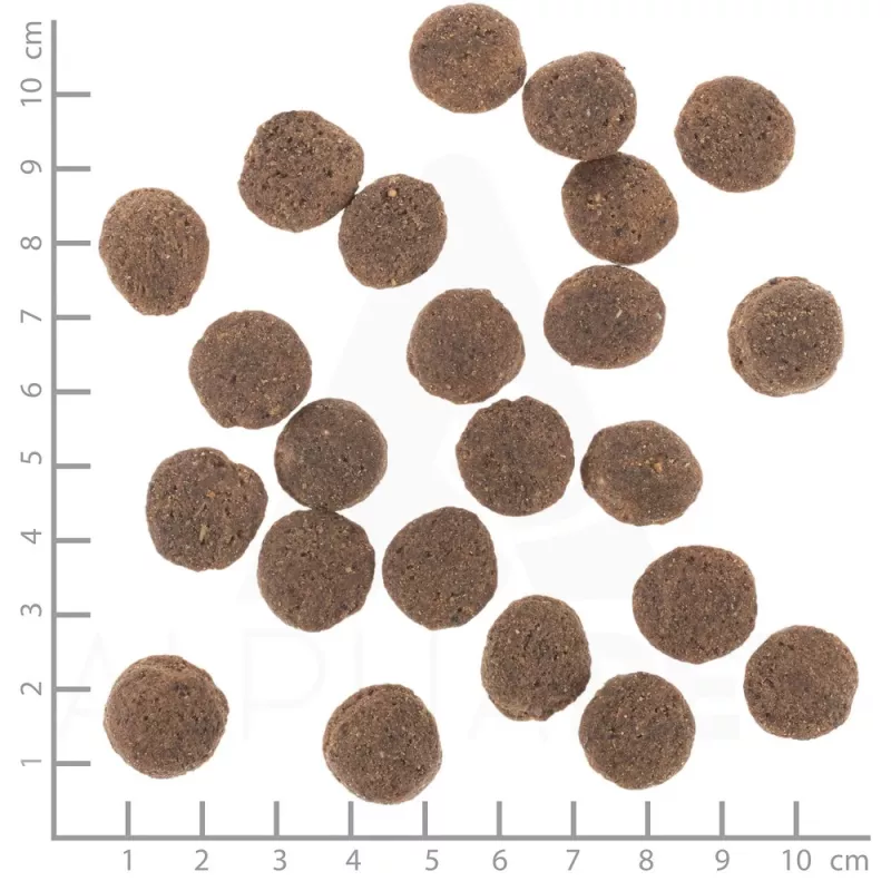 WOLFSBLUT VetLine Hypoallergenic Horse with sweet potatoes - dry dog food - 2kg
