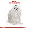 Dry dog food Royal Canin Maltese Adult 1.5 kg — chicken, 24% protein, 18% fat
