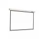 Projection screen Reflecta CrystalLine Motor 1:1