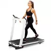 HMS LOOP14 electric treadmill 1-14 km/h