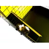 C&C modular cage one-storey 4x2 + Loft 2x1 + Black ramp