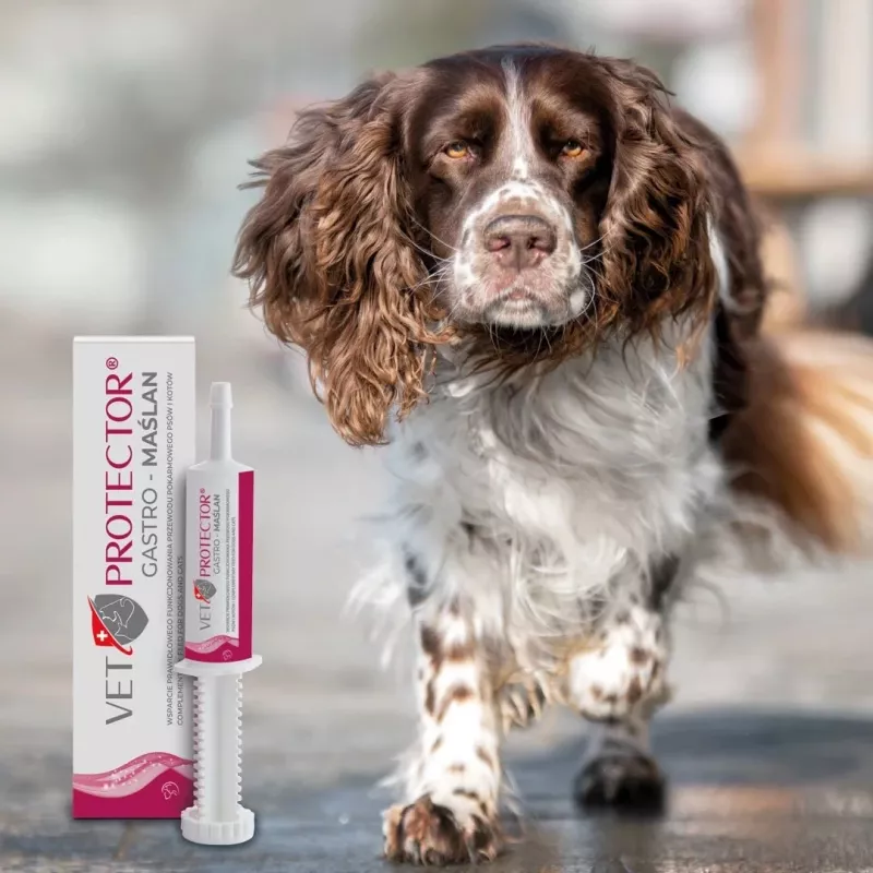Liquid gut support supplement JM Sante VET PROTECTOR Gastro Butyrate 60 ml for dogs and cats, dietary supplement, soy‑free, gluten‑free