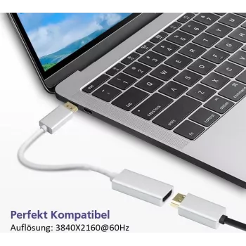 DisplayPort to HDMI adapter cable Helos 4K Silver — DisplayPort (male) to HDMI (female)