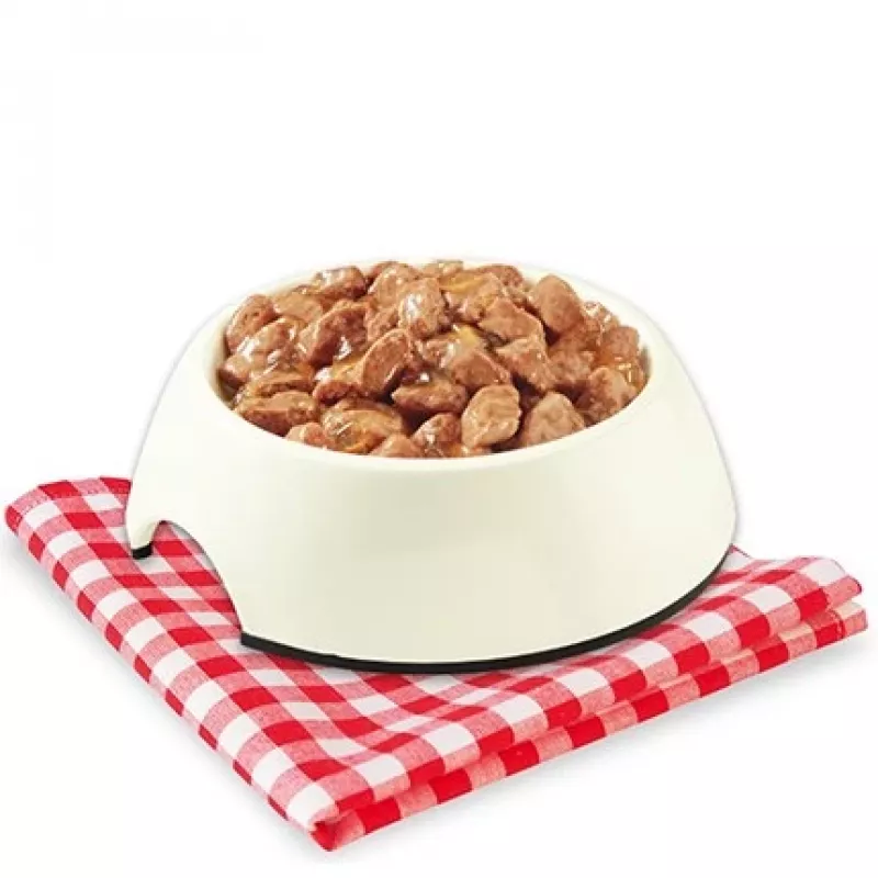 Wet Dog Food STUZZY Stuzzy Pies Kurczak Galaretka 100 g pouch