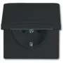 Busch-jaeger 2CKA002064A0290 Black