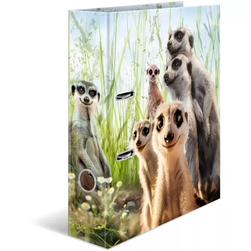 Ring binder HERMA 20048 A4 Multicolour D-ring Cardboard