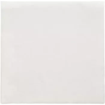 PAPSTAR napkins Daily Collection White 2-ply 16.0 x 16.0 cm 150 pc(s) (89636)