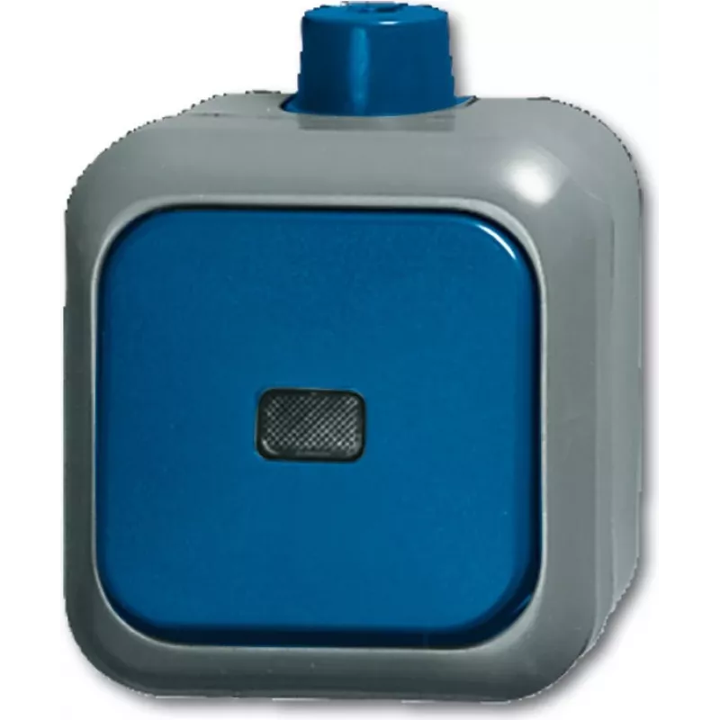 Busch Jaeger 2CKA001084A0854 Electrical Switch Rocker switch Blue - Grey (2CKA001084A0854)
