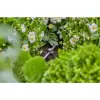Hose Holder Gardena 13218-20 Black Ground Placement