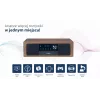 Portable Bluetooth Speaker BLAUPUNKT MS22BT — Wireless portable sound, Bluetooth connectivity