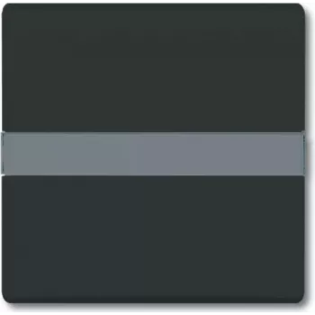 BUSCH JAEGER 2106 N-35 - Schwarz - Busch-Jaeger - 70 mm - 70 mm - 1,3 cm - 1 Stück(e)