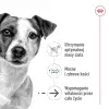 Wet dog food Royal Canin Mini Ageing 12+ Adult sachet 85 g — small breeds, poultry, senior