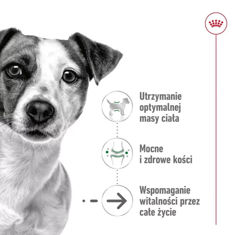 Wet dog food Royal Canin Mini Ageing 12+ Adult sachet 85 g — small breeds, poultry, senior