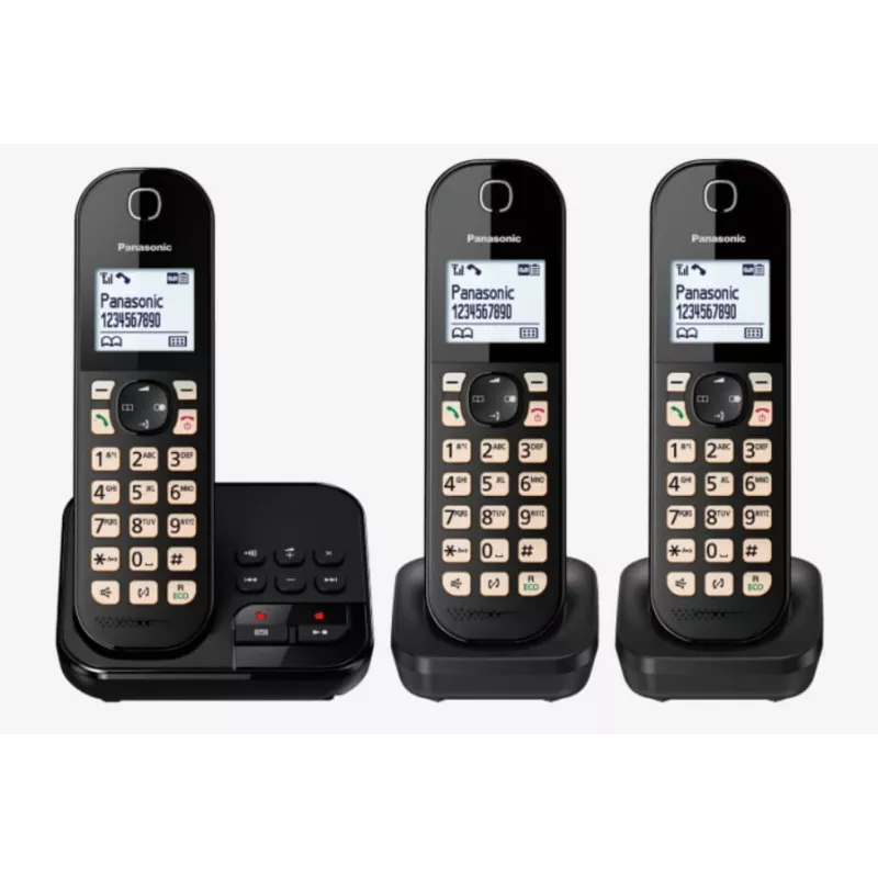 DECT telephone Panasonic KX-TGC 463GB