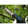 Pole saw Bosch GKE 18V-25 TP — 25 cm cutting length, cordless 18V (06008D6000)