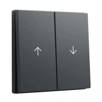Rockerswitch cover plate GIRA System 55 Wippe 2f Pfeil anthracite (model 329428)