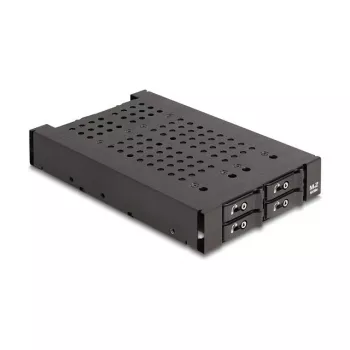 HDD Cage DeLOCK 47072 Rack Compatible Metal 100mm Width