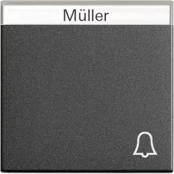 GIRA 067328 Wall Plate/Switch Cover Anthracite (067328)