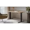 Desk with electric height adjustment MOON LONG 150x80x72-120 black/wotan