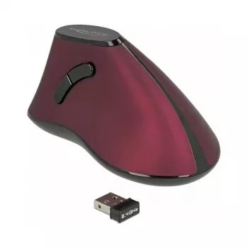Mouse DeLOCK 12528 RF Wireless Optical 1000 DPI