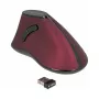 Mouse DeLOCK 12528 RF Wireless Optical 1000 DPI